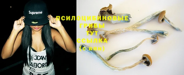 кокаин Белокуриха